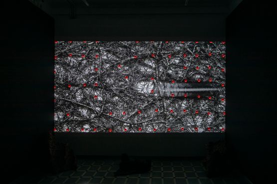 Straddling Ocean and Sky by Pakkiyarajah Pushpakanthan contemporary artwork Moving Image
