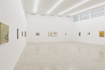 Contemporary art exhibition Merlin James See Through at P420 Bologna Italy