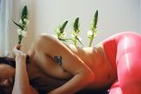 Skin In Bud - 2 by Lin Zhipeng contemporary artwork print