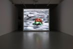 Thousand Lives by Ian Cheng contemporary artwork Moving Image