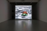 Thousand Lives by Ian Cheng contemporary artwork moving image