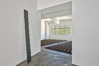 Contemporary art exhibition Jaffa Lam Laam Chasing an Elusive Nature at Axel Vervoordt Gallery Hong Kong