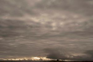 Todd Hido