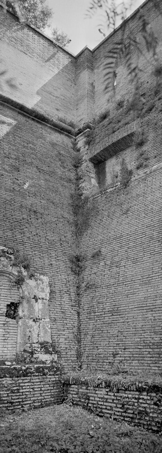 Untitled 7 Walls by Catherine Opie contemporary artwork Sculpture