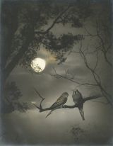 Full-moon Night by Lang Jingshan contemporary artwork photography