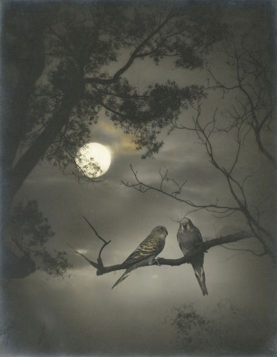 Full-moon Night by Lang Jingshan contemporary artwork Photography