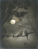 Full-moon Night by Lang Jingshan contemporary artwork Photography