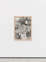 Ipe by Luiz Zerbini contemporary artwork painting works on paper