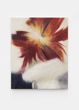 Flower-SHA by Shi Jiayun contemporary artwork painting