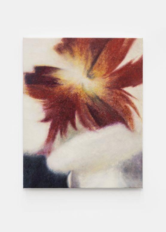 Flower-SHA by Shi Jiayun contemporary artwork Painting