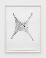 Expanded VIII by Julia Phillips contemporary artwork works on paper