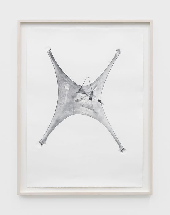 Expanded VIII by Julia Phillips contemporary artwork Works on Paper