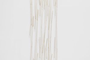 Leonor Antunes
