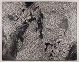 Untitled MB by Daniel Boyd contemporary artwork mixed media