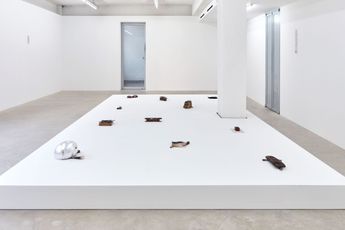 Contemporary art exhibition Gillies Adamson Semple Recordings at CAPTION Seoul South Korea