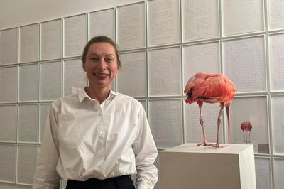 Romina Polley Collecting Conceptual Art