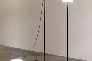 Andy Fitz