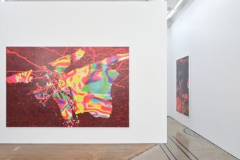 Contemporary art exhibition Zac Langdon-Pole Caterpillar Soup at Lett Thomas Karangahape Road New Zealand