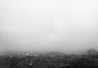 A Great Sign Appeared Thailand-Singapore by Robert Zhao Renhui contemporary artwork Photography