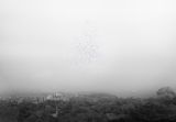 A Great Sign Appeared Thailand-Singapore by Robert Zhao Renhui contemporary artwork photography
