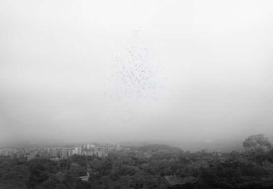 A Great Sign Appeared Thailand-Singapore by Robert Zhao Renhui contemporary artwork Photography