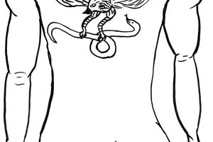 David Shrigley