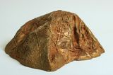 Reimagining the Archaic - A Set of Objects by Adip Dutta contemporary artwork sculpture