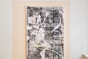 Judith Raum