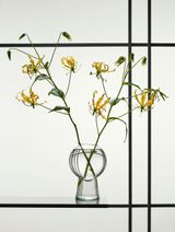 Still Life with Gloriosa by Erwin Olaf contemporary artwork print