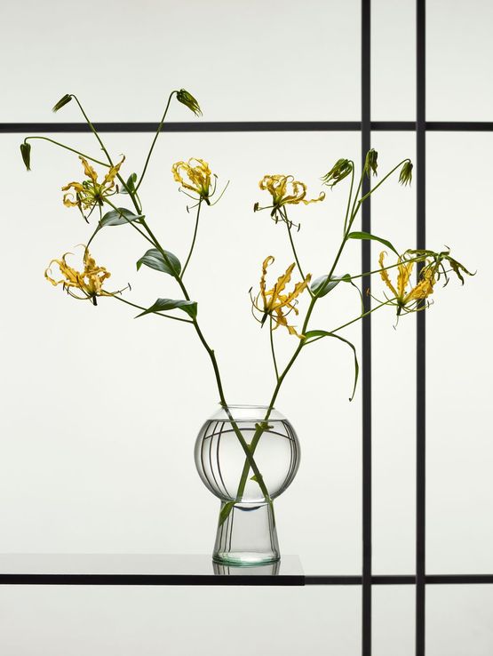 Still Life with Gloriosa by Erwin Olaf contemporary artwork Print