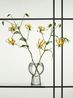 Still Life with Gloriosa by Erwin Olaf contemporary artwork Print