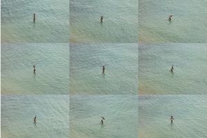 Richard Misrach