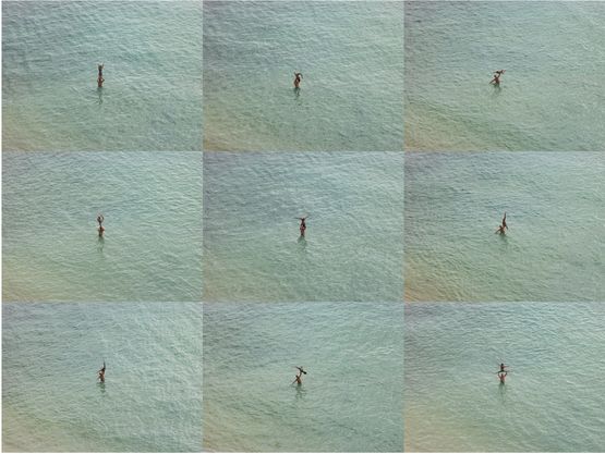 Acrobat Super Grid by Richard Misrach contemporary artwork Photography