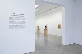 Contemporary art exhibition Jared Buckhiester No Heaven No How at David Kordansky Gallery Los Angeles United States