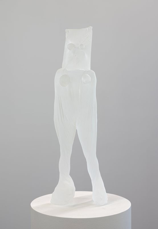 Box Head by Polly Borland contemporary artwork Sculpture