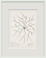Island with Forking Peninsulas in Shallow Water by Robert Smithson contemporary artwork drawing works on paper
