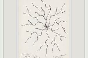 Robert Smithson