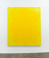 A Painting by Mikala Dwyer contemporary artwork painting