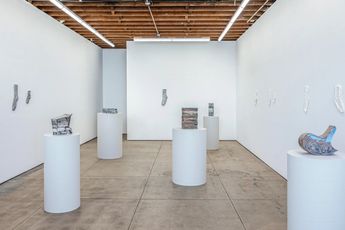 Contemporary art exhibition Ry Rocklen Desert Lenses at Wilding Cran Gallery  Los Angeles United States