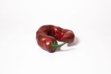 Chilli Pepper by Fay Ming contemporary artwork sculpture
