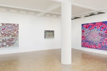 Contemporary art exhibition Sophia Loeb O Manifesto da Luz antes do Amanhecer The Manifesto of Light Before Dawn at Pippy Houldsworth Gallery London United Kingdom