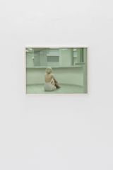 Can We Live Without Our Own Reflection by Evelyn Bencicova contemporary artwork print