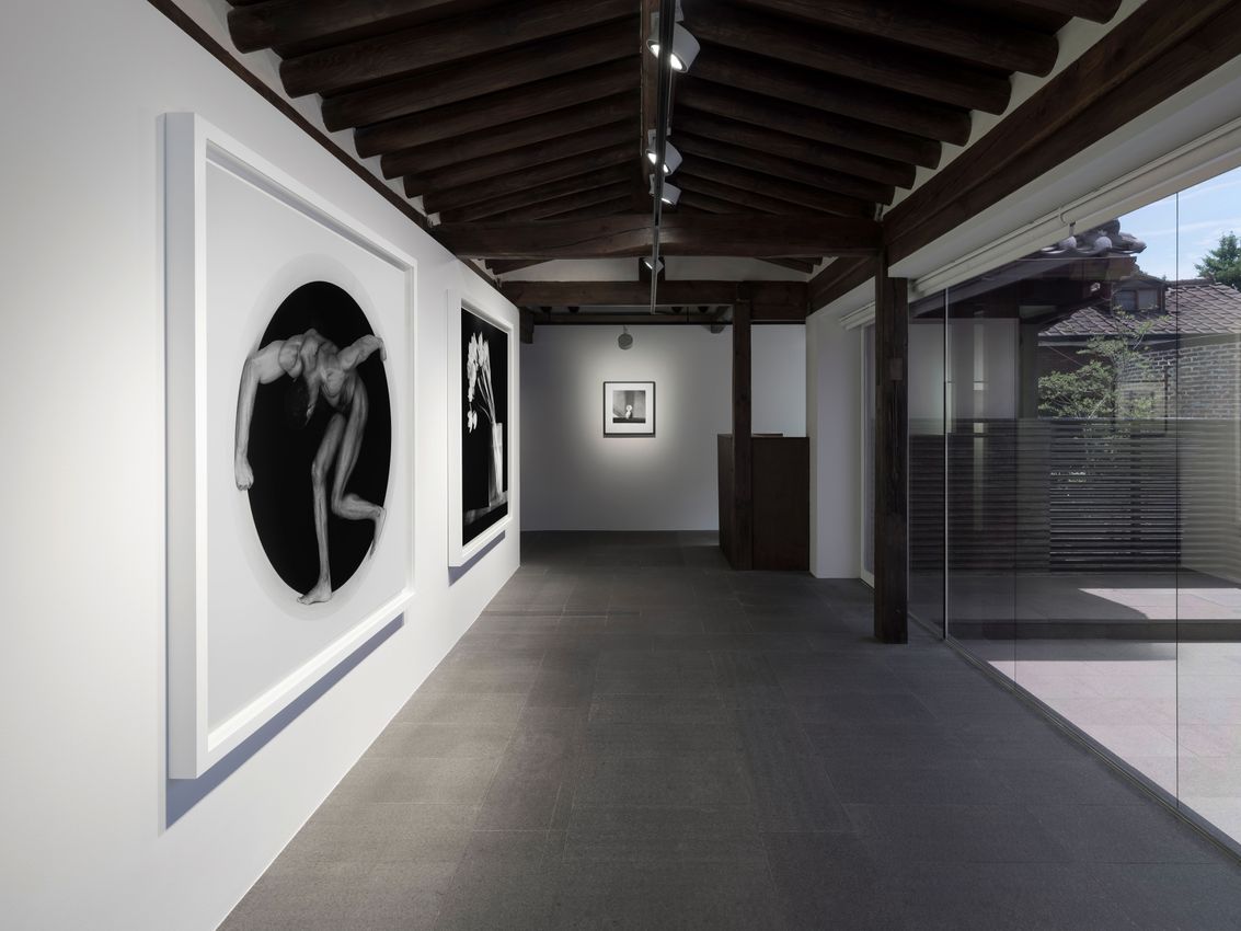 Robert Mapplethorpe