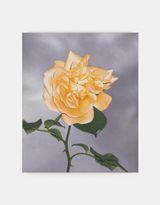 Rose Sky by Marcel Vidal contemporary artwork painting