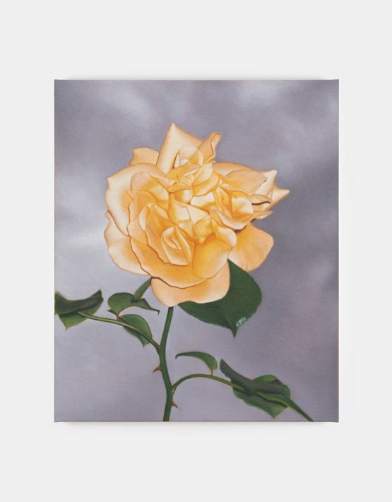 Rose Sky by Marcel Vidal contemporary artwork Painting