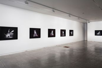 Contemporary art exhibition Anne Noble No Vertical Song at Two Rooms Auckland New Zealand