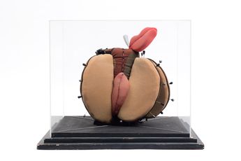 Clemen Parrocchetti contemporary artist