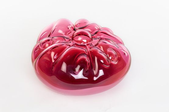 Rhodamine Resolution by Patricia Piccinini contemporary artwork Sculpture