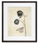 flower.s.06 by Thomas Ruff contemporary artwork photography print