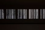 Habituation of Dishabituation by Selcuk Artut contemporary artwork Moving Image